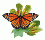 Avatar của sytruong